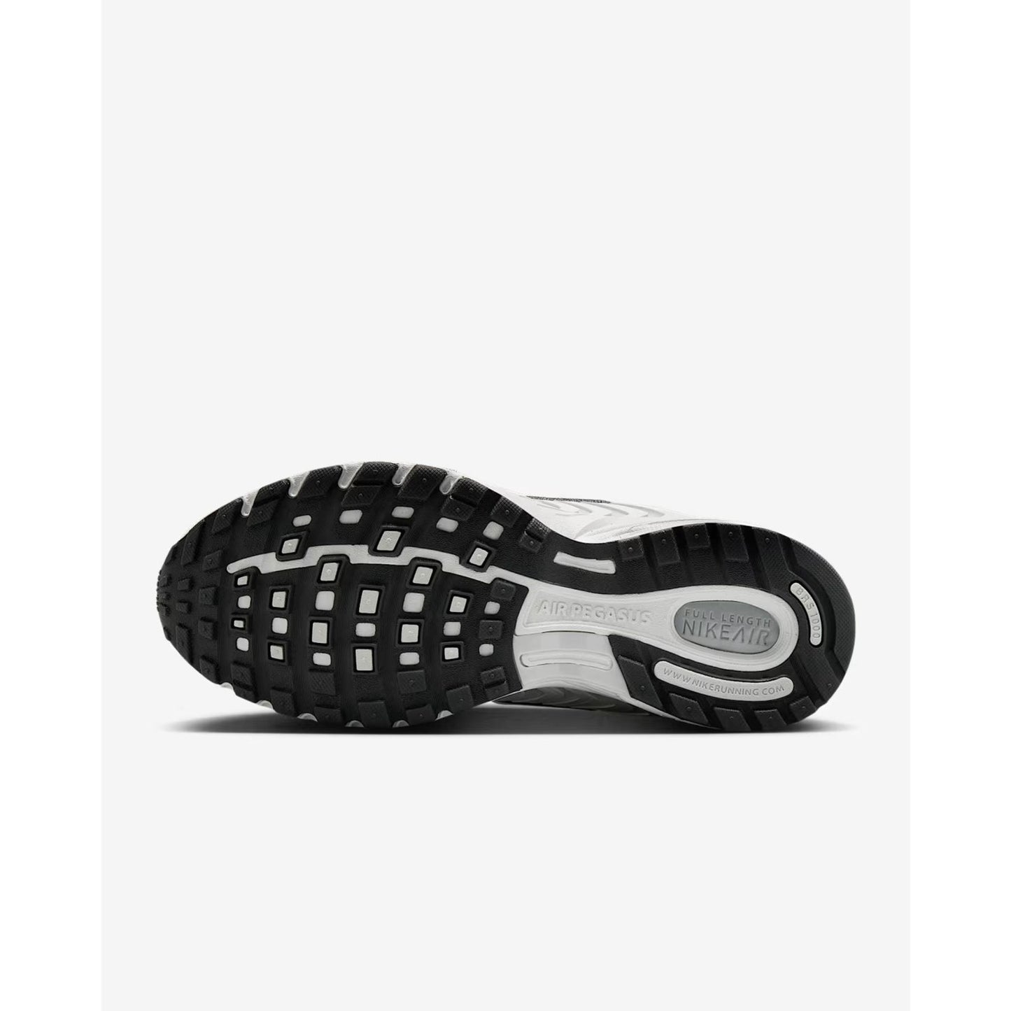 Nike Air Pegasus 2005