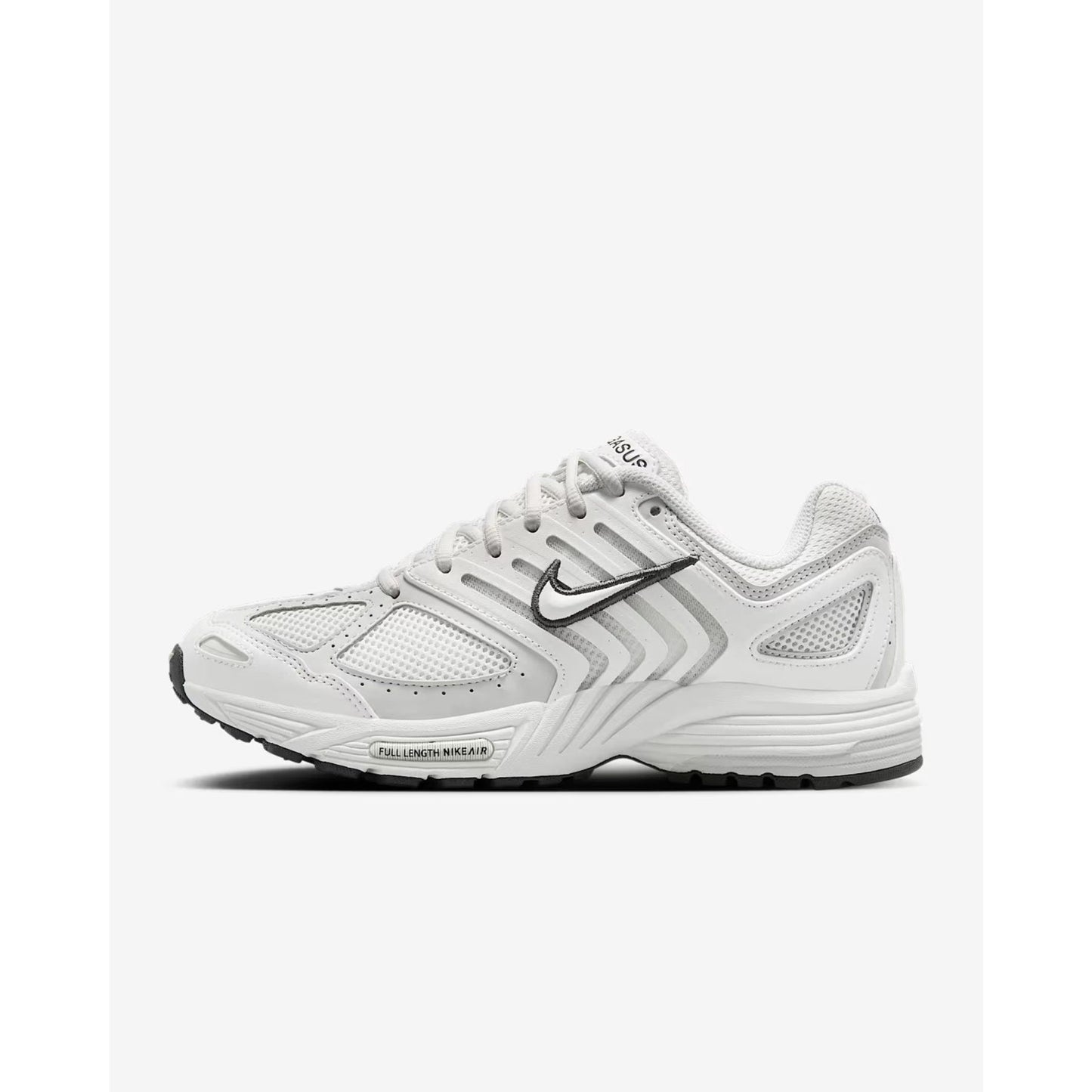 Nike Air Pegasus 2005