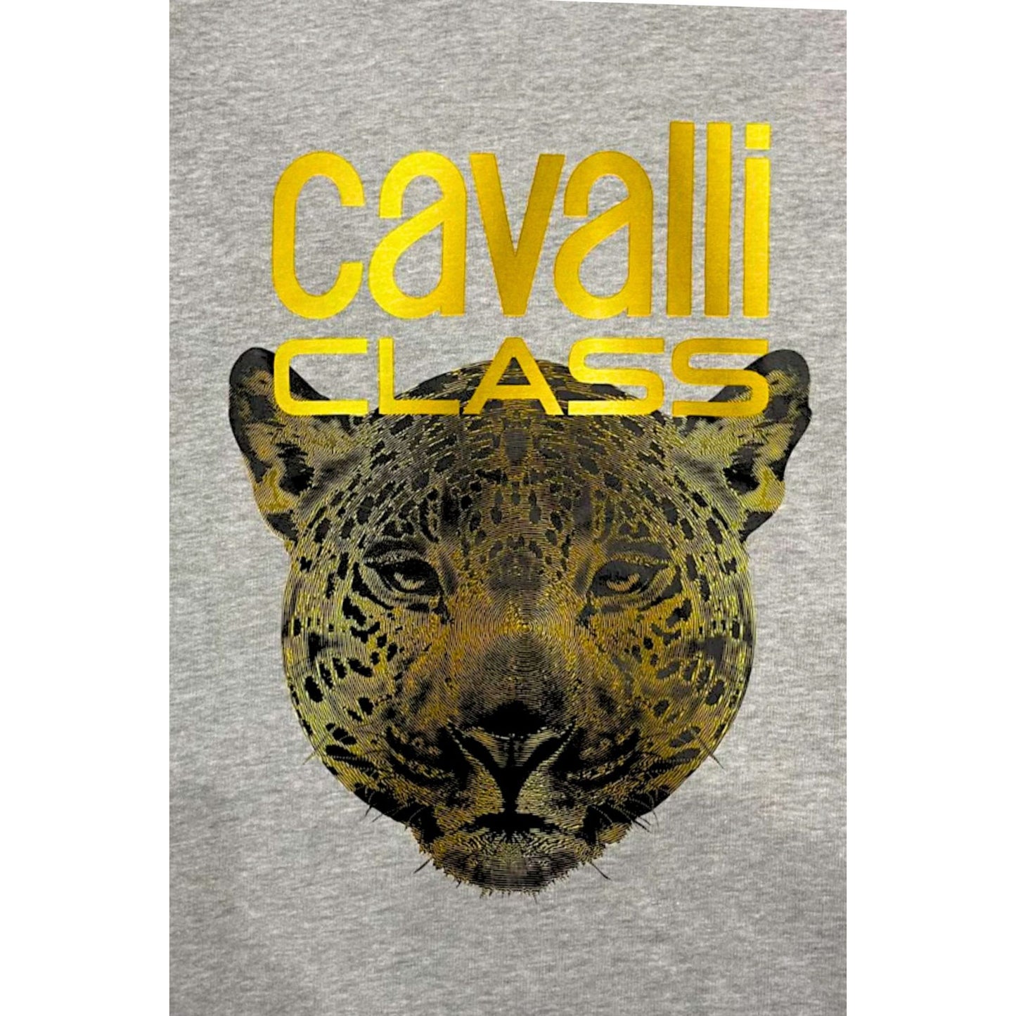 Cavalli Class Dressipluusid